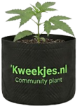 Community Plant