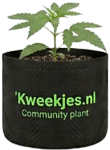 Community Plant