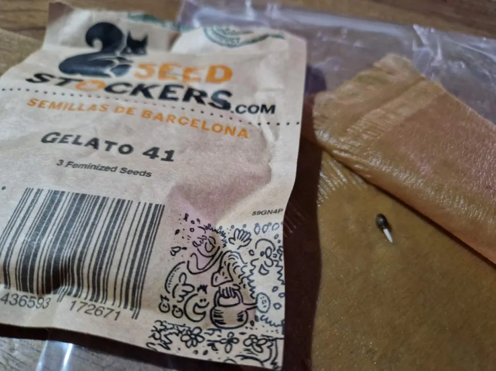 Update: Minigrowbox gehaald! - Gelato 41 in Minigrowbox